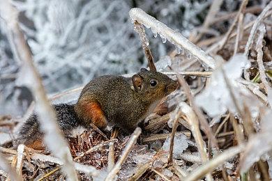 体验无尽纵横的全新动作冒险游戏 《索尼克：未知边境》最新游戏信息公布！