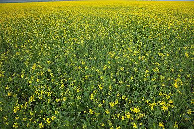 《理智边缘》 9月登陆多平台 克苏鲁风生存恐怖