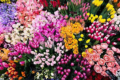 《星球大战绝地：幸存者》6.5补丁更新发布 改进主机端稳定性